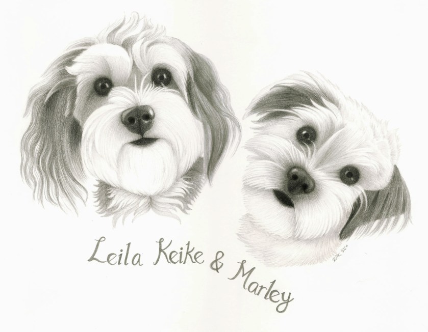 leila and marley for web